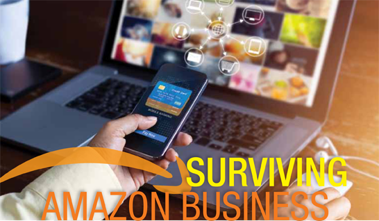 Surving Amazon Business