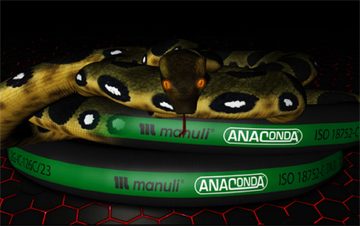 Anaconda