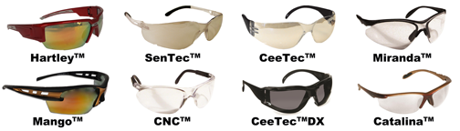 Dentec eyewear protection