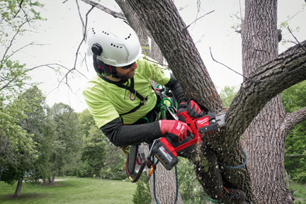 Milwaukee M18 pruning saw Industrial Supply Magazine