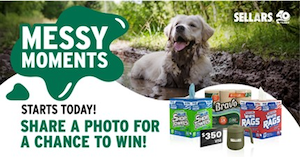 Sellars Messy Moments promotion_home